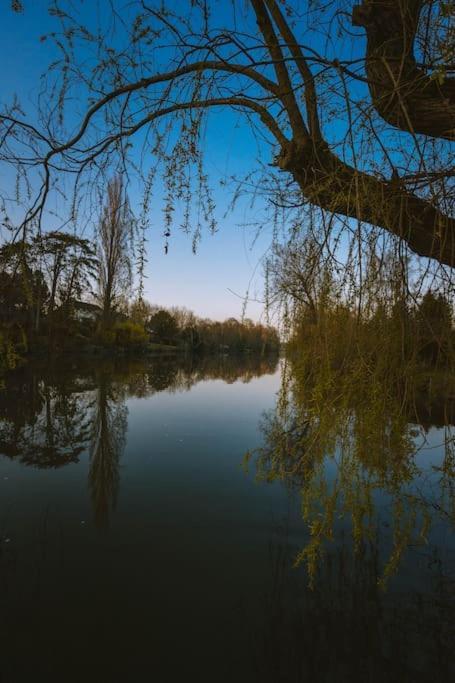 Le Chalet Du Bout Du Monde, En Bord De Riviere ! Grez-sur-Loing Екстер'єр фото
